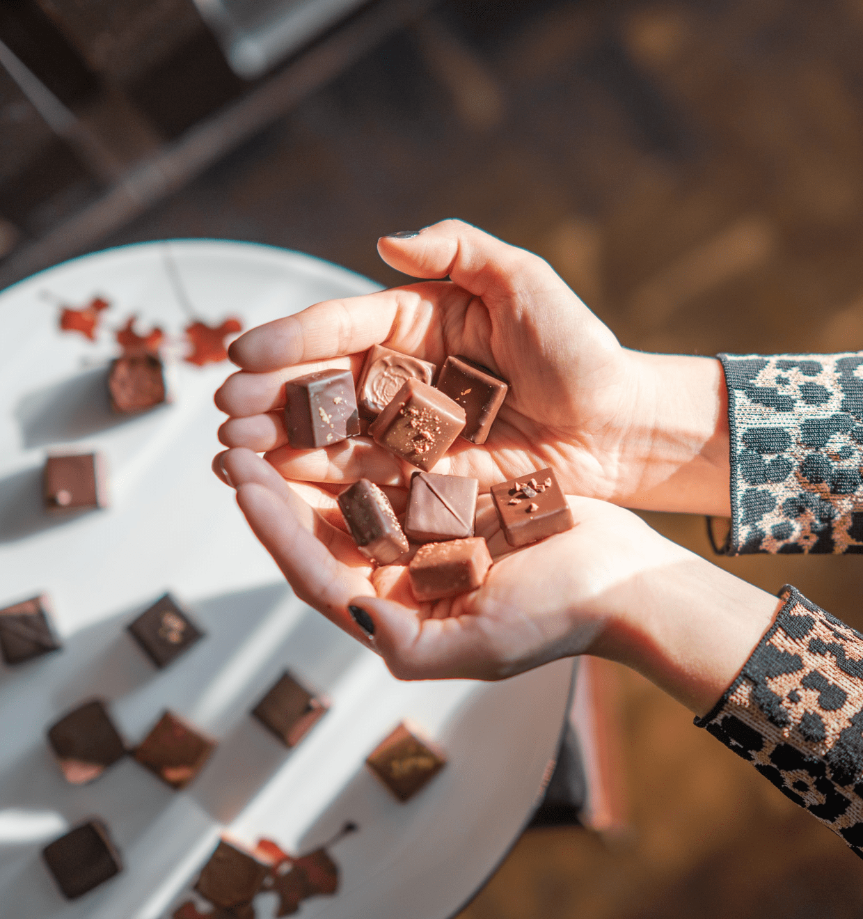 Photo of a woman's hands holding pieces of yummy looking chocolate above a plate with more chocolates zChocolat promo photo of hands holding chocolate
