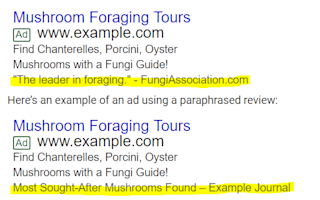 Review+Extension+Image