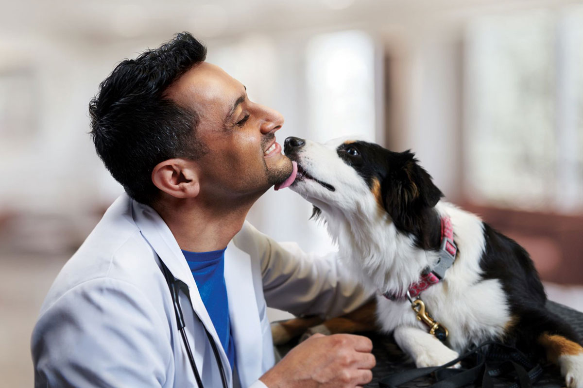 Thrive Pet Healthcare