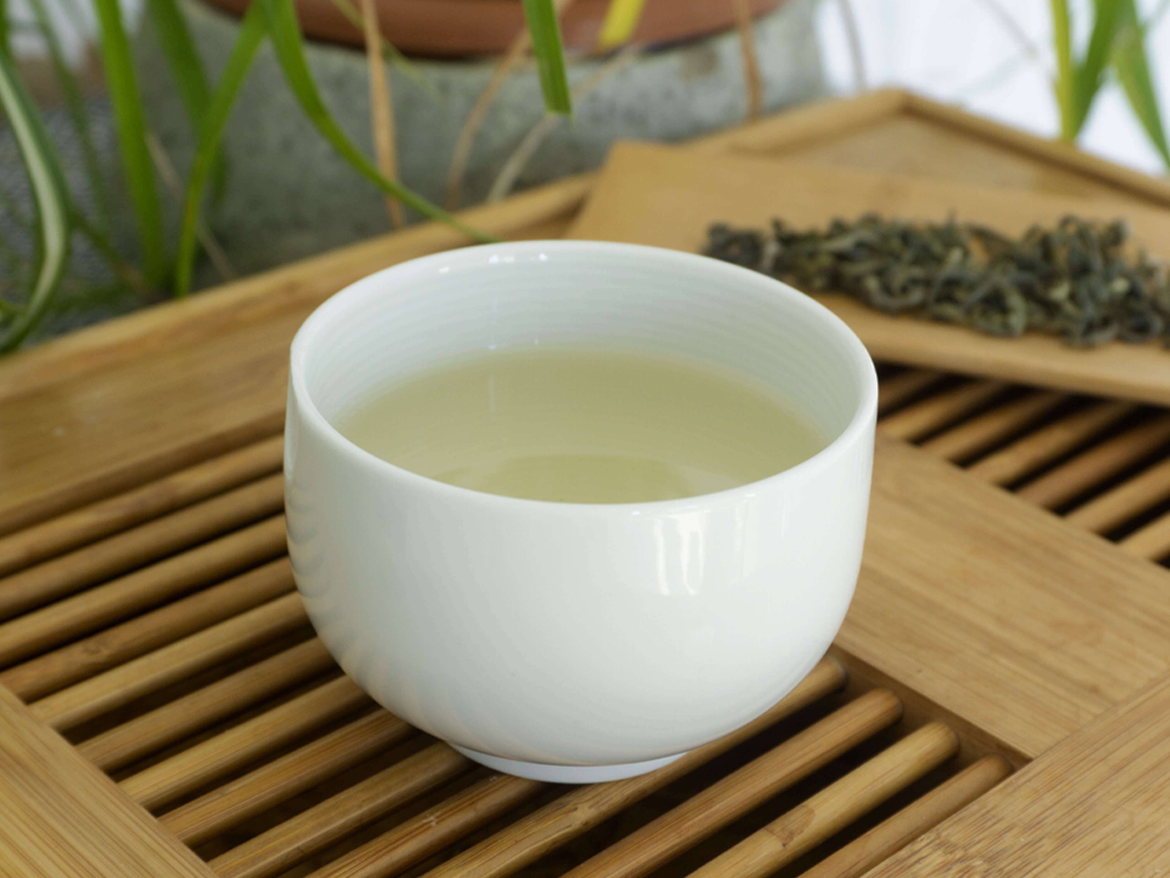 Tè verde vietnamita Green Shan