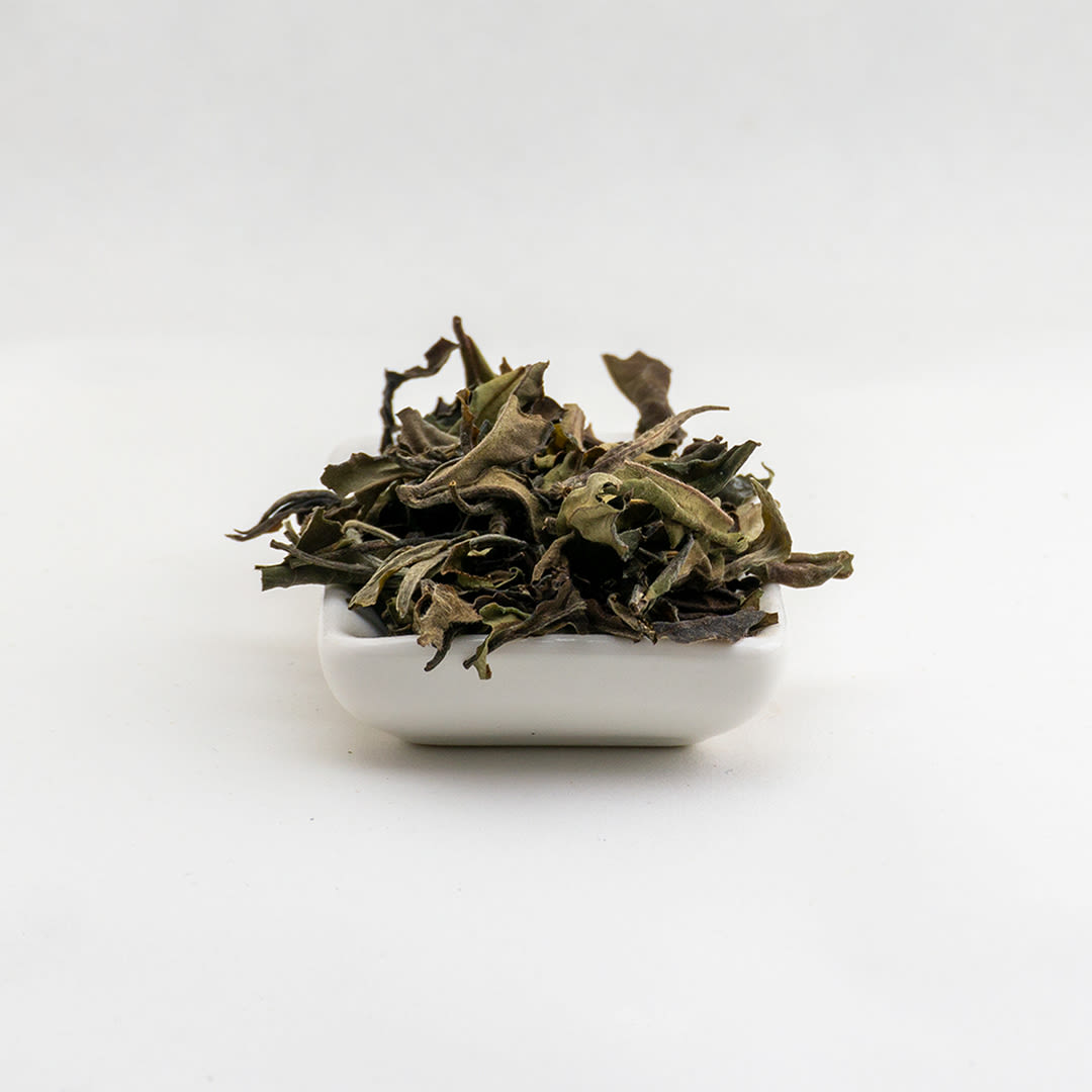 Thyolo Peony