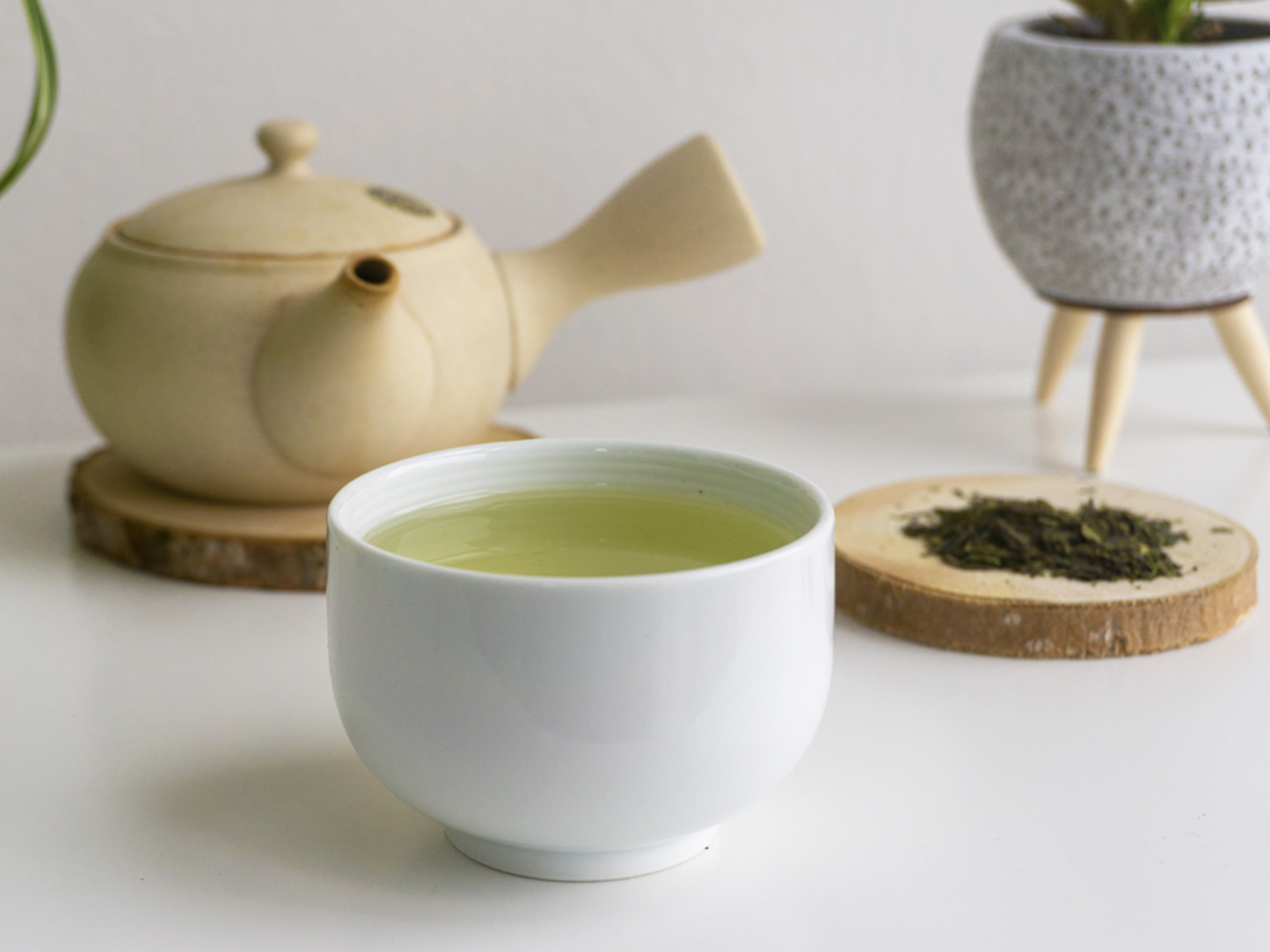 Tè verde giapponese Sencha Gabaron