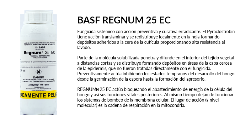 Basf Regnum 25 EC