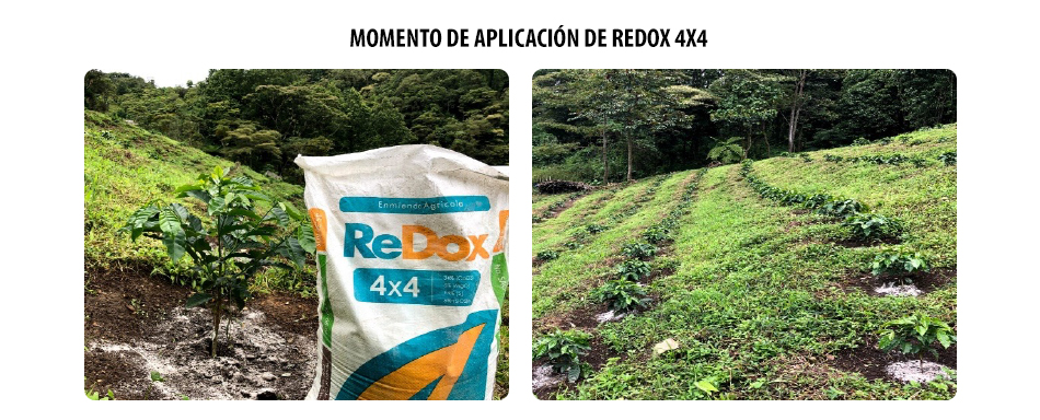 Cadelga Blog Importancia Aplicacion RedOx4x4-3
