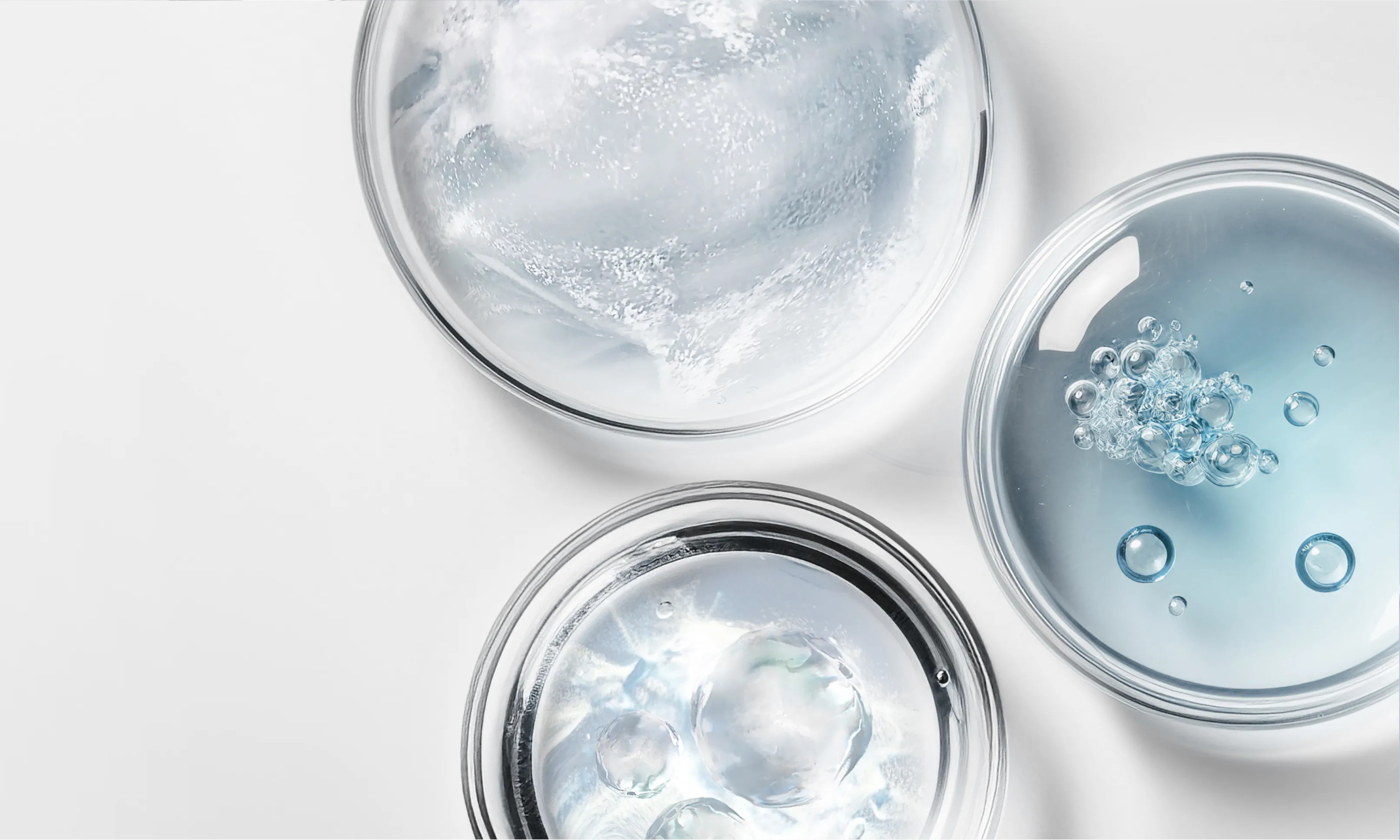 Petri Dishes with Neutogena ingredients