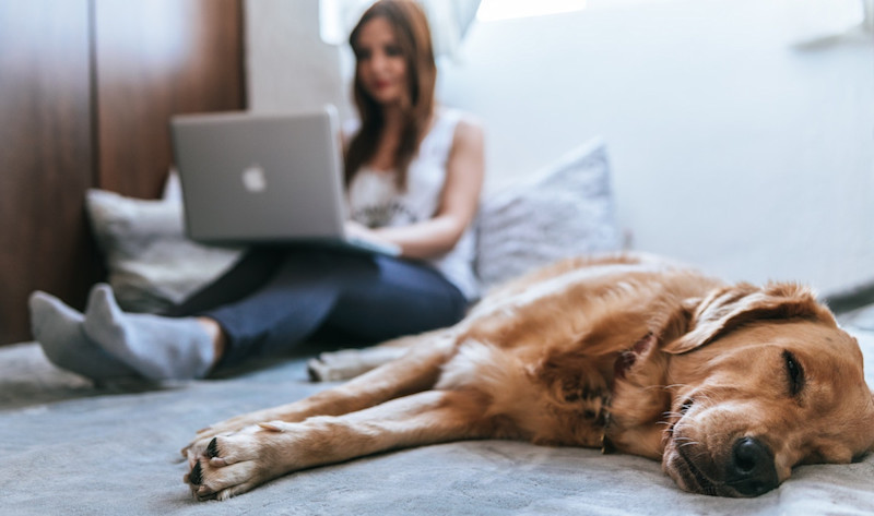 Five Simple Ways To Prepare For Your Next Mortgage