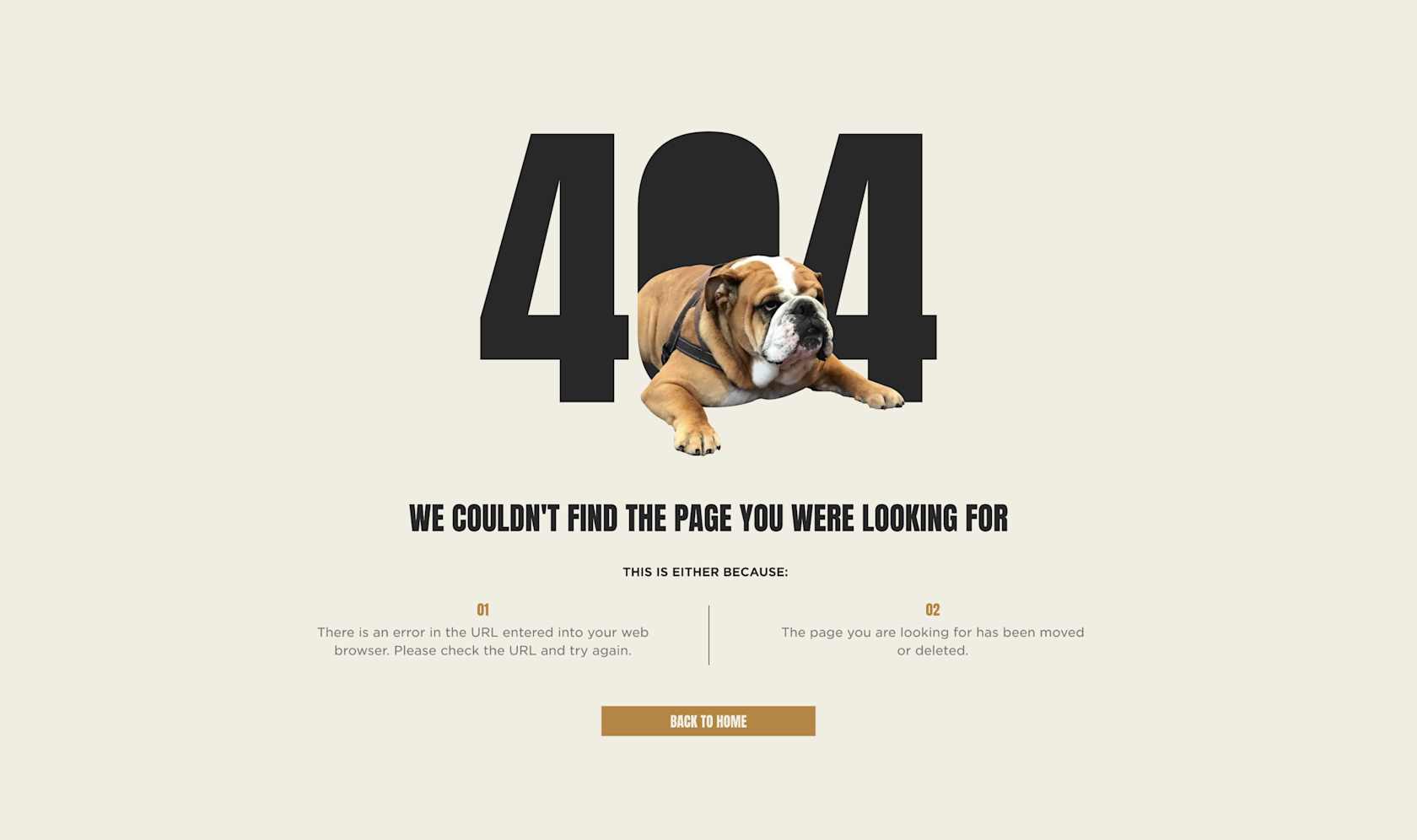 Anderson Brothers 404 page design