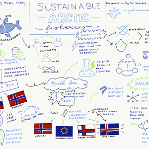 Image for Visual Notes for Arctic Sustainable Fisheries Hub