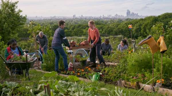 Gardeners working on an allotment