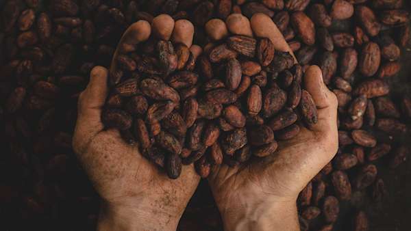 Fairtrade coffee