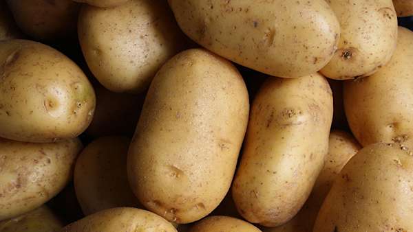 understanding-carbohydrates-hero