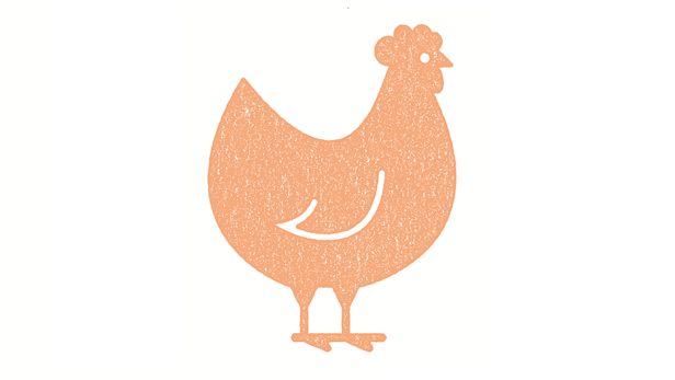 Chicken welfare.