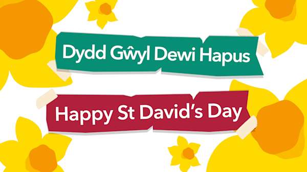 St Davids Day