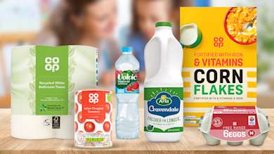 P10P11 Joys of Summer - Multi Product - Web Tile 1008x567px