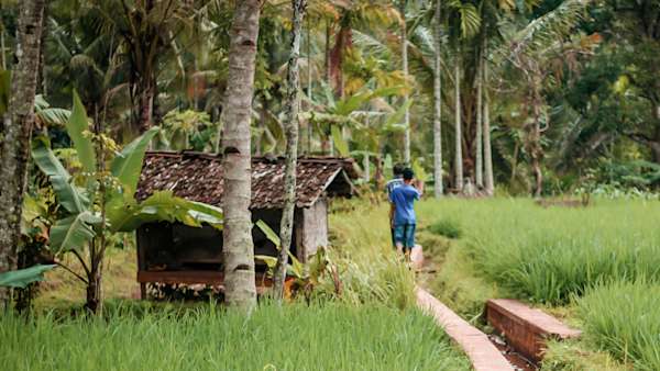 Our palm oil commitment
