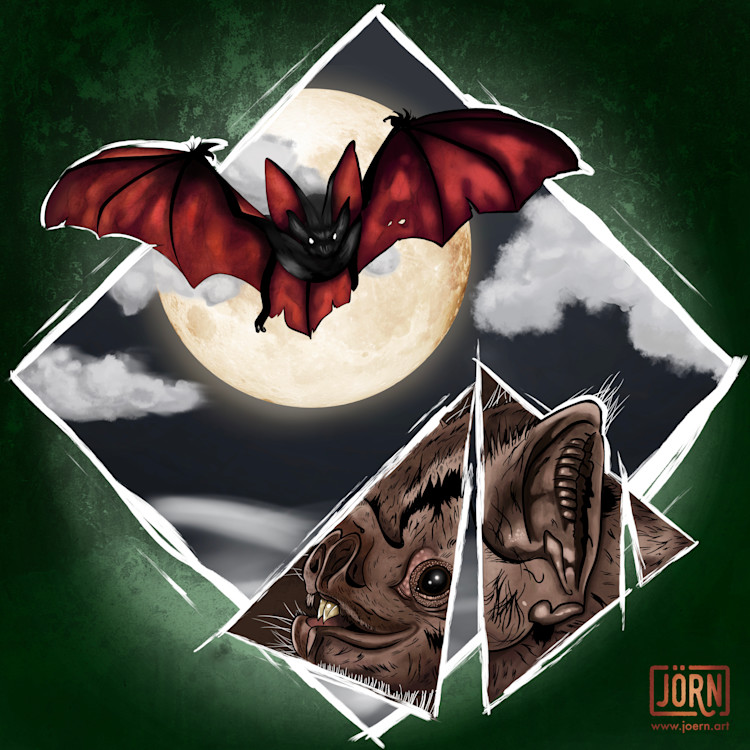 Welcome to the Colony