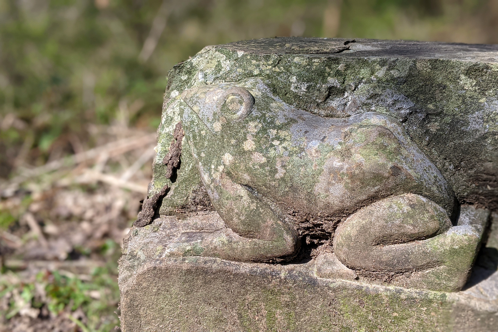 Stone frog along the Taff Trail Ⓒ Emma Sparks