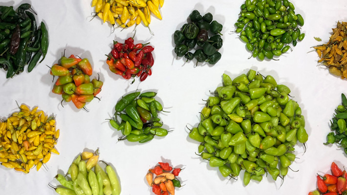 Peppers