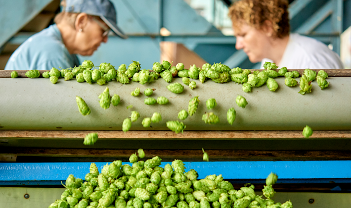 Hops