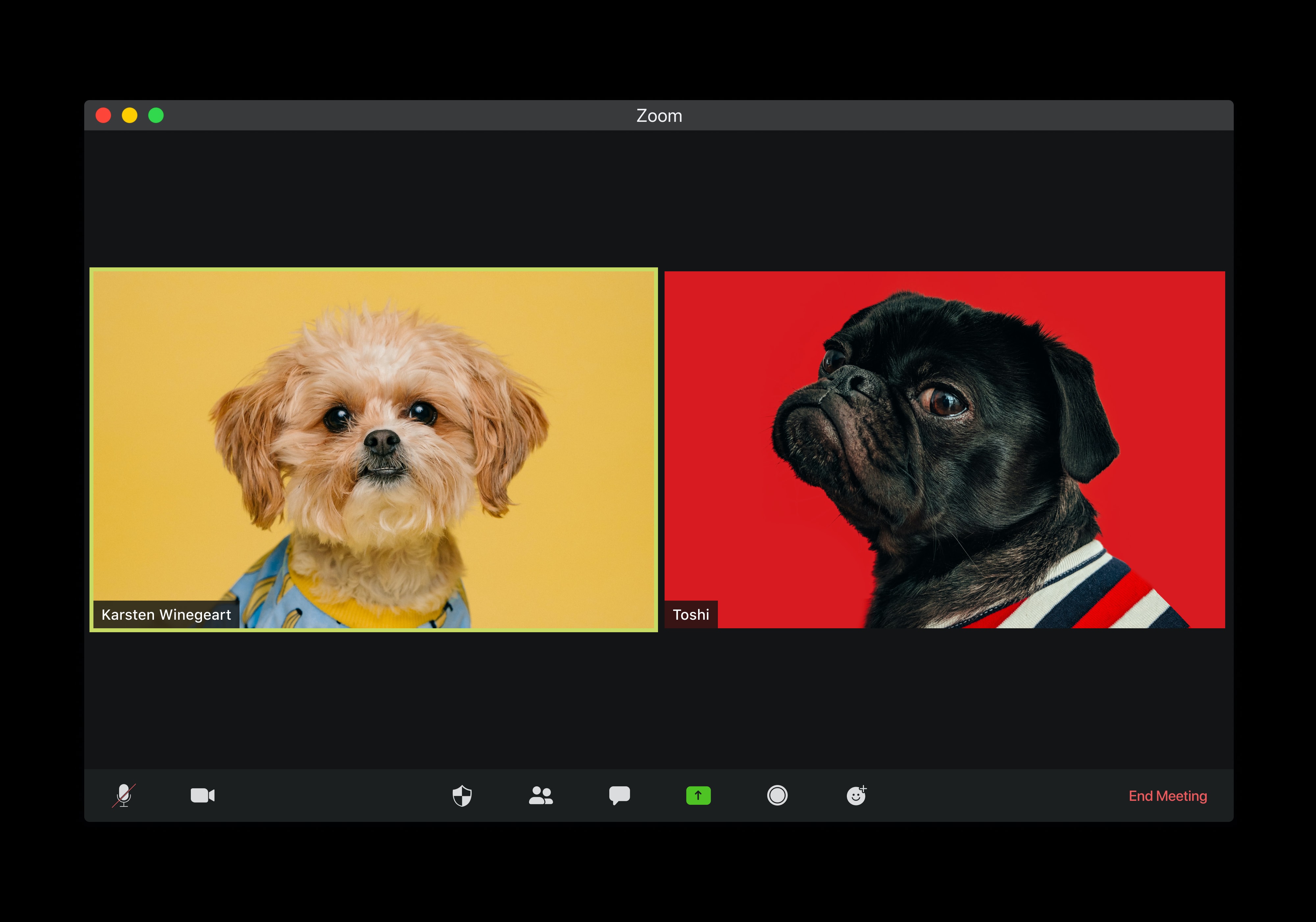 visuals-sW BS0OVgv0-unsplash