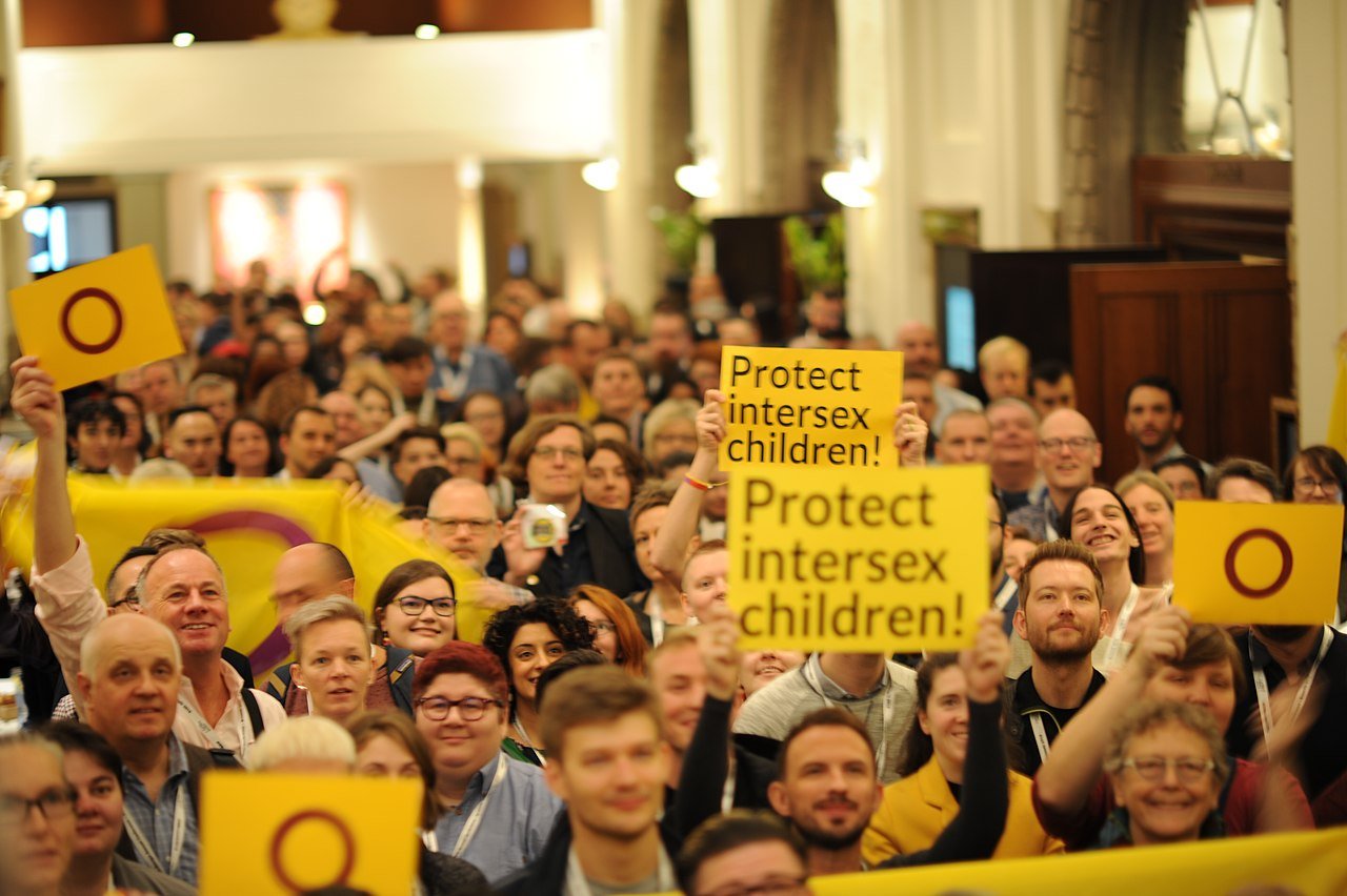 1280px-ILGA conference 2018 Intersex Awareness Day group photo