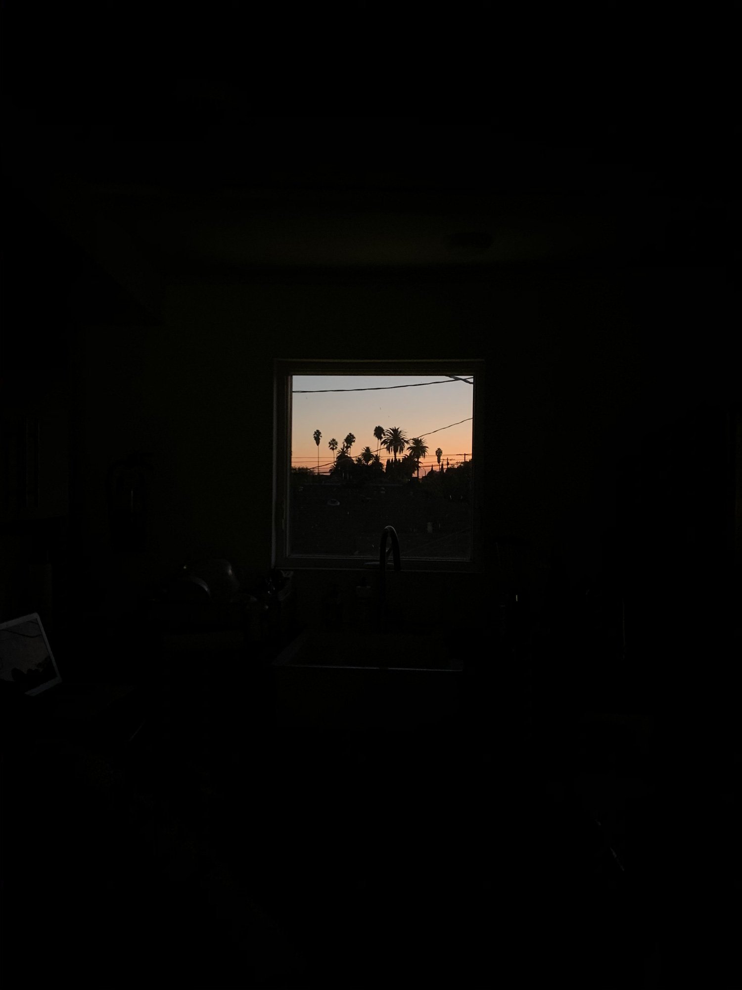 IMG 0059