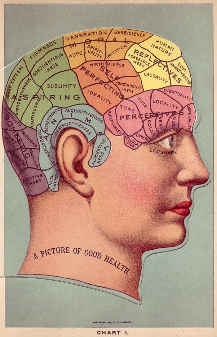 brainmap - is trump human