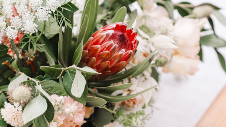 close up of a bouquet of pink and white flowers