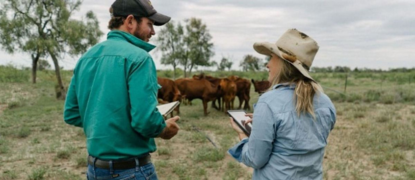 auctionsplus-device-paddock-1200x630