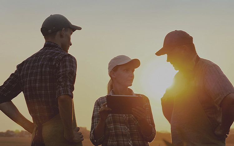 Discussion in a field