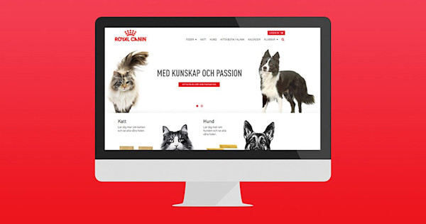 royalcanin