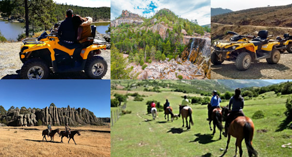 Imagen 051cc09a-2fad-514c-82a2-b7fe86bc7014