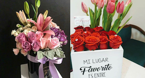 Imagen 38bd49bc-48e2-5520-b1c7-70dcd9a92273