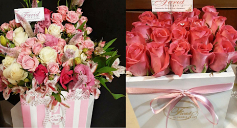 Imagen f0084709-fd37-5a30-baec-3c5a1083d4fa