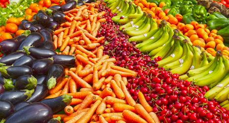 Imagen ddd4d13f-7991-51f1-9d22-8fc1c5754e48