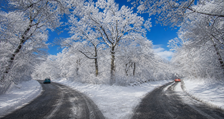two-cars-on-forked-snowy-forest-roads-750x400