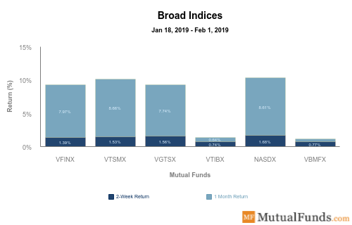 broad indices performance