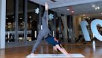 Vinyasa Flow #1- 0nline Training