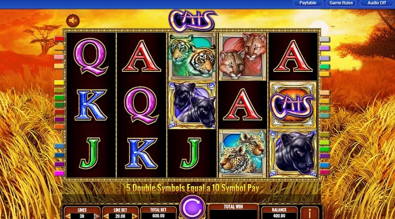 cats-slot