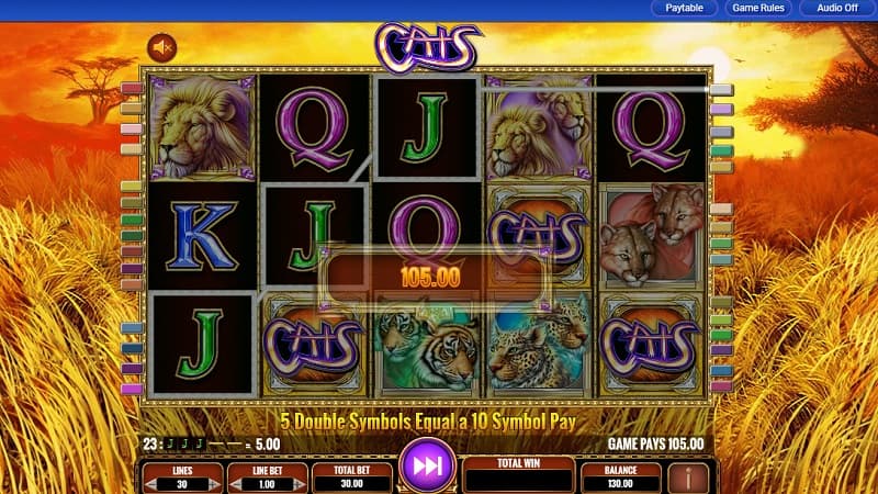cats-voitto