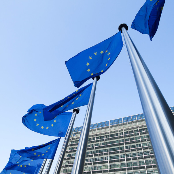 Flaggen der europäischen Union ragen vor einem Gebäude in den blauen Himmel. Mit dem Aktionsplan 