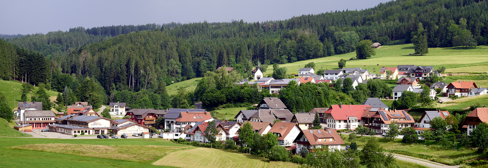 Blick auf Häuser und Wiesen der Gemeinde Biederbach