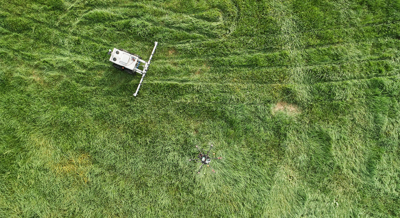 Die Drohne fotografiert den Zustand des Feldes aus der Luft, ein Feldroboter bekämpft das Unkraut am Boden.