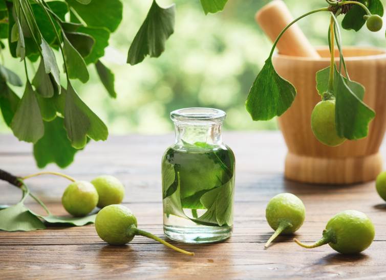 9-ginkgobiloba--mifarma-blog-body-1