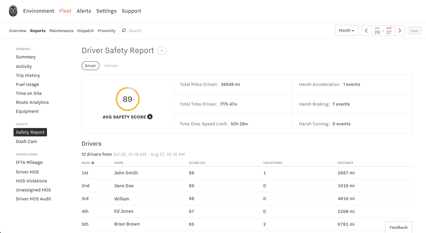 Safety Report