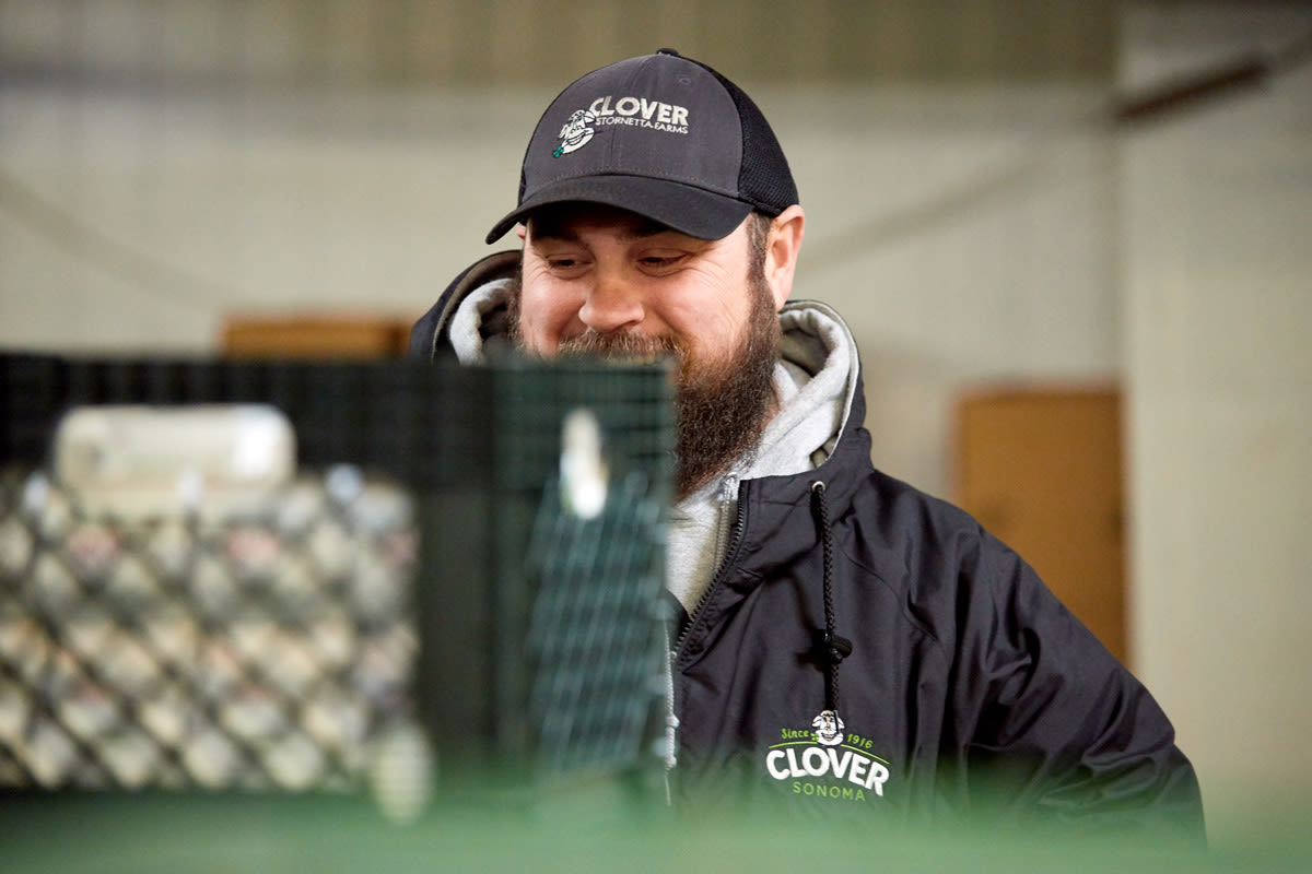 Clover Dairy