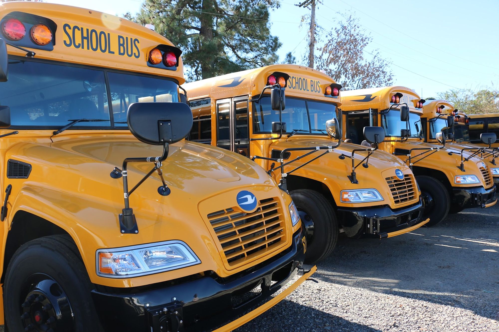 School buses