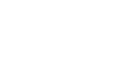 AutoNation logo logotype AutoNation logo logotype