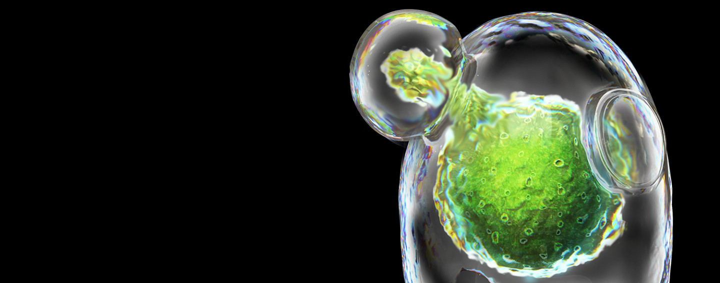 Homepage-Yeast-Cell-1 Homepage-Yeast-Cell-1