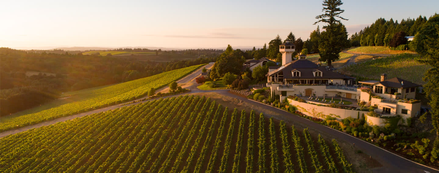 Willamette Valley Vineyard Hero Willamette Valley Vineyard Hero